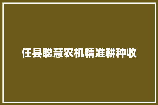 任县聪慧农机精准耕种收
