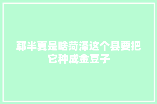 郓半夏是啥菏泽这个县要把它种成金豆子