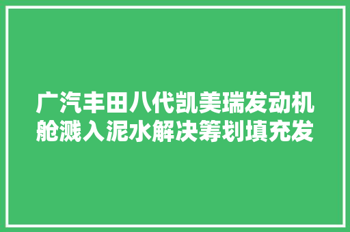 广汽丰田八代凯美瑞发动机舱溅入泥水解决筹划填充发泡棉