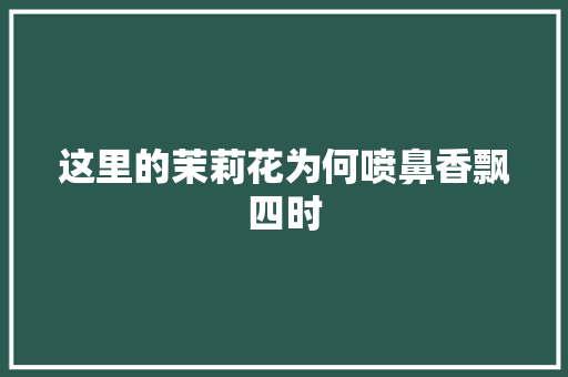 这里的茉莉花为何喷鼻香飘四时