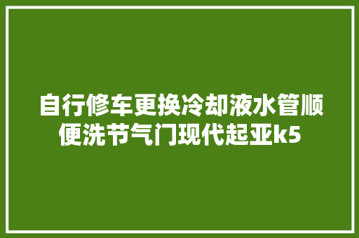 自行修车更换冷却液水管顺便洗节气门现代起亚k5