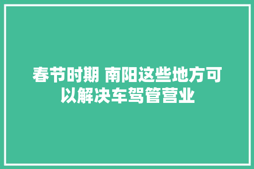春节时期 南阳这些地方可以解决车驾管营业