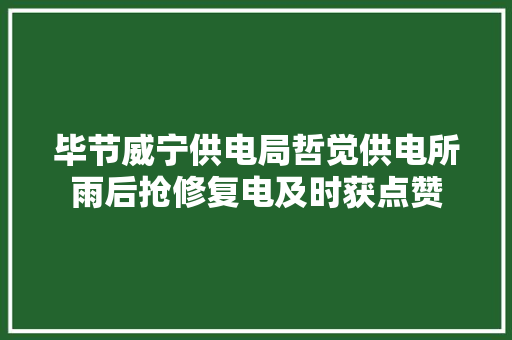 毕节威宁供电局哲觉供电所雨后抢修复电及时获点赞