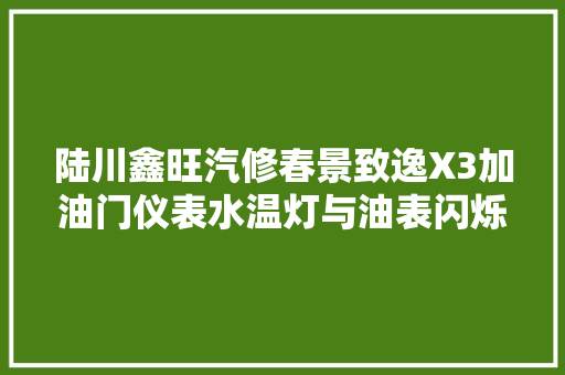 陆川鑫旺汽修春景致逸X3加油门仪表水温灯与油表闪烁