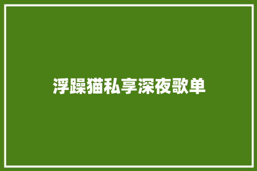 浮躁猫私享深夜歌单