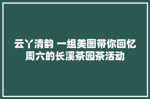 云丫清韵 一组美图带你回忆周六的长溪茶园茶活动