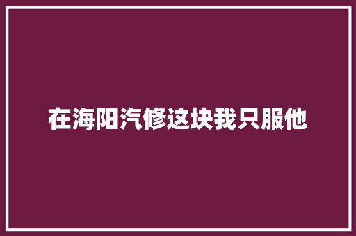 在海阳汽修这块我只服他