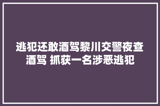 逃犯还敢酒驾黎川交警夜查酒驾 抓获一名涉恶逃犯