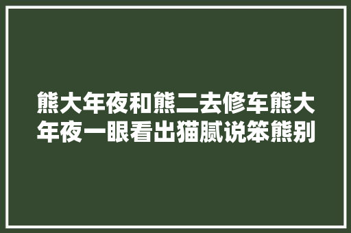 熊大年夜和熊二去修车熊大年夜一眼看出猫腻说笨熊别慌这些都是假故障