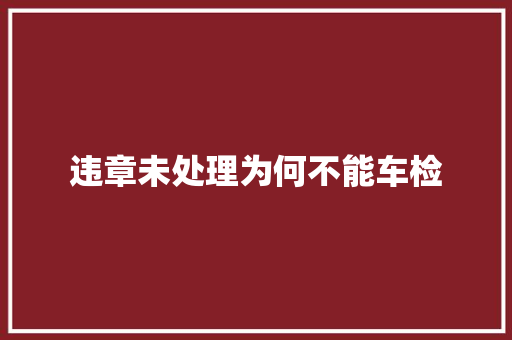 违章未处理为何不能车检