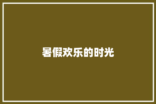 暑假欢乐的时光