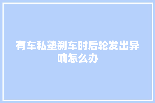 有车私塾刹车时后轮发出异响怎么办