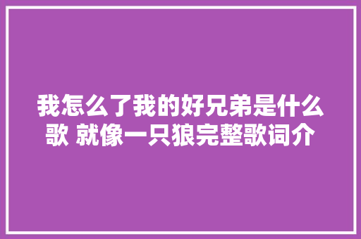 我怎么了我的好兄弟是什么歌 就像一只狼完整歌词介绍