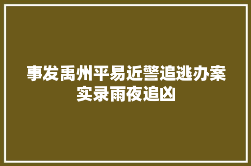 事发禹州平易近警追逃办案实录雨夜追凶