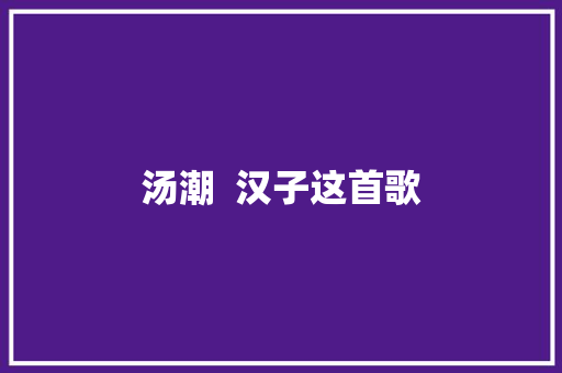 汤潮  汉子这首歌