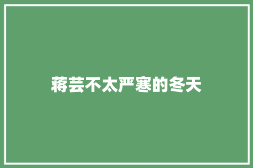 蒋芸不太严寒的冬天 休闲娱乐