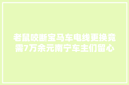老鼠咬断宝马车电线更换竟需7万余元南宁车主们留心