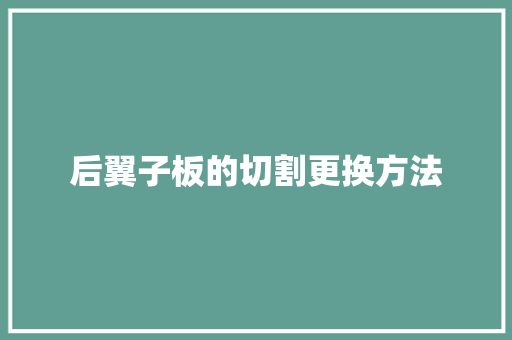 后翼子板的切割更换方法