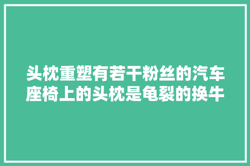 头枕重塑有若干粉丝的汽车座椅上的头枕是龟裂的换牛皮