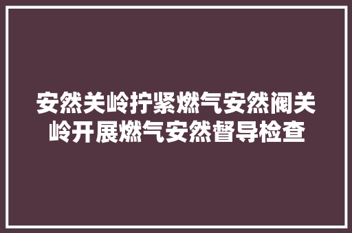 安然关岭拧紧燃气安然阀关岭开展燃气安然督导检查