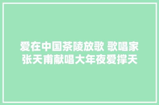 爱在中国茶陵放歌 歌唱家张天甫献唱大年夜爱撑天