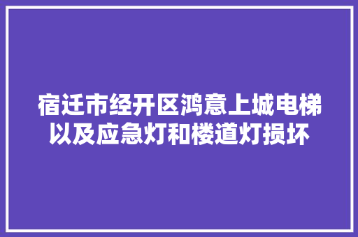 宿迁市经开区鸿意上城电梯以及应急灯和楼道灯损坏