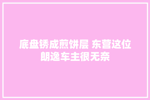 底盘锈成煎饼层 东营这位朗逸车主很无奈