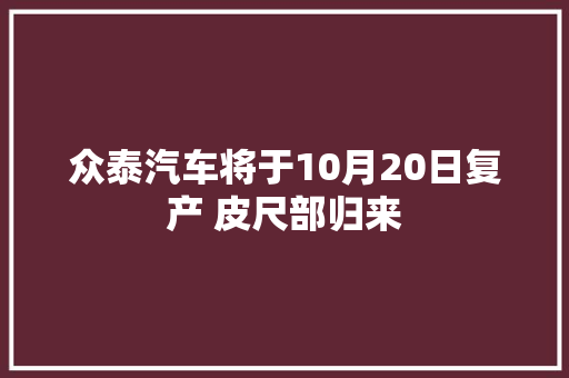 众泰汽车将于10月20日复产 皮尺部归来