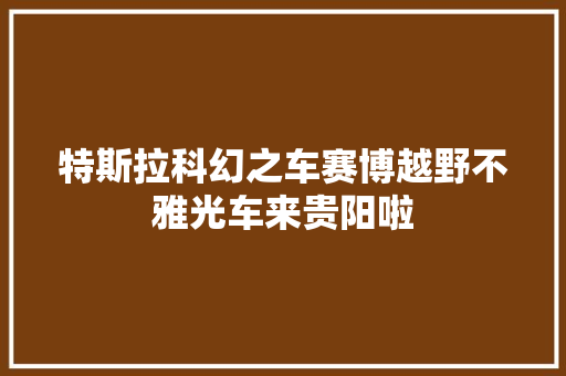 特斯拉科幻之车赛博越野不雅光车来贵阳啦