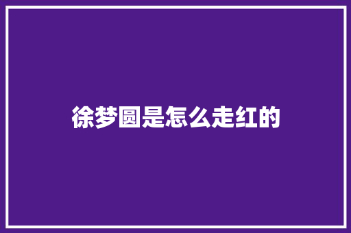 徐梦圆是怎么走红的