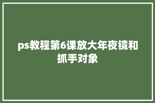 ps教程第6课放大年夜镜和抓手对象