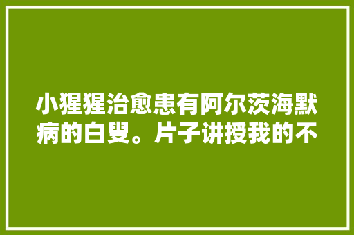 小猩猩治愈患有阿尔茨海默病的白叟。片子讲授我的不雅观影申报