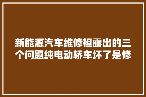 新能源汽车维修袒露出的三个问题纯电动轿车坏了是修照样不修 汽车知识