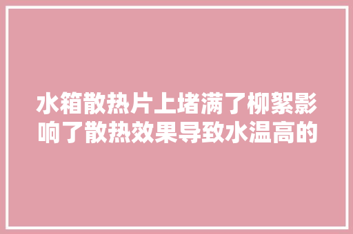 水箱散热片上堵满了柳絮影响了散热效果导致水温高的故障案例