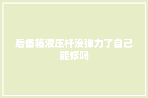 后备箱液压杆没弹力了自己能修吗
