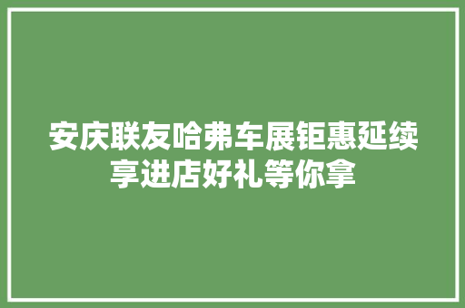 安庆联友哈弗车展钜惠延续享进店好礼等你拿