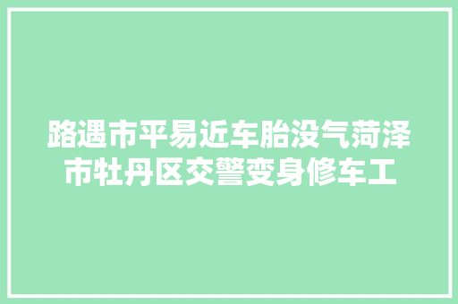 路遇市平易近车胎没气菏泽市牡丹区交警变身修车工