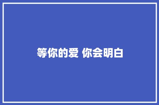 等你的爱 你会明白