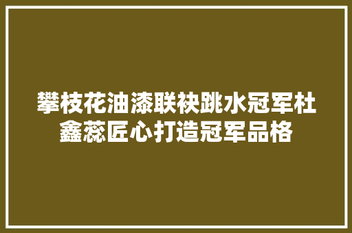 攀枝花油漆联袂跳水冠军杜鑫蕊匠心打造冠军品格