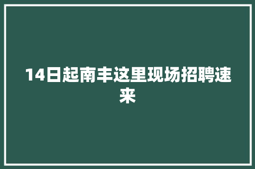 14日起南丰这里现场招聘速来