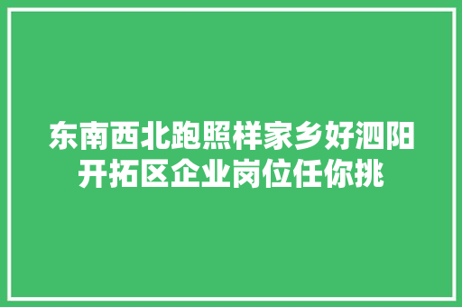东南西北跑照样家乡好泗阳开拓区企业岗位任你挑