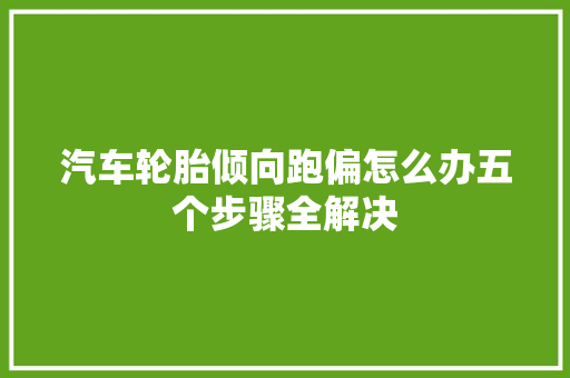 汽车轮胎倾向跑偏怎么办五个步骤全解决