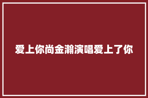 爱上你尚金瀚演唱爱上了你
