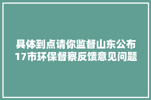 具体到点请你监督山东公布17市环保督察反馈意见问题清单