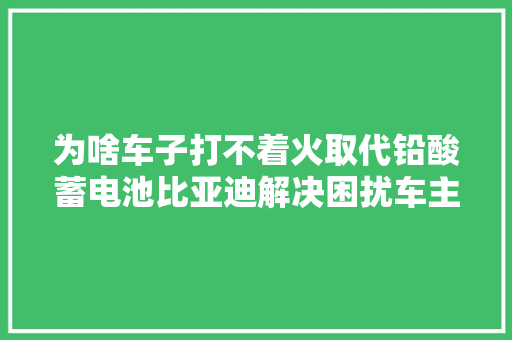 为啥车子打不着火取代铅酸蓄电池比亚迪解决困扰车主百年难题