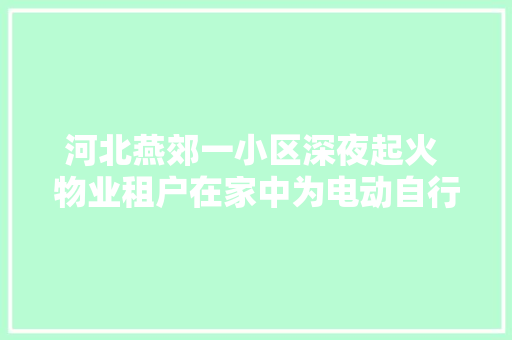 河北燕郊一小区深夜起火 物业租户在家中为电动自行车充电激发