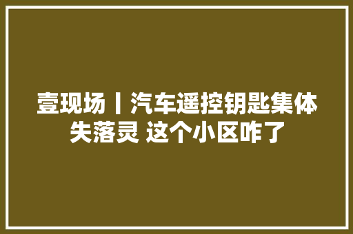 壹现场丨汽车遥控钥匙集体失落灵 这个小区咋了