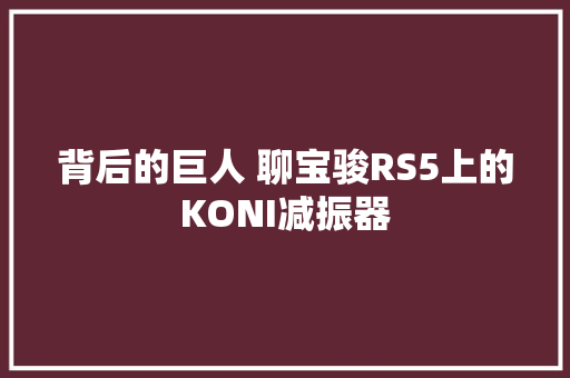 背后的巨人 聊宝骏RS5上的KONI减振器
