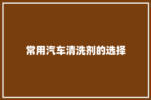 常用汽车清洗剂的选择 汽车知识
