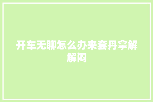 开车无聊怎么办来套丹拿解解闷